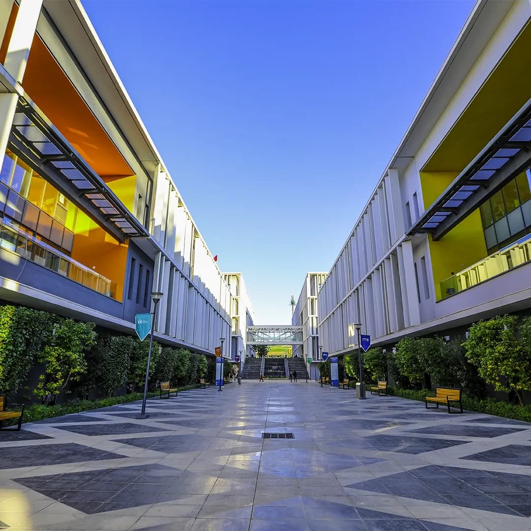 À propos de <span class="text-main">     l’université </span>