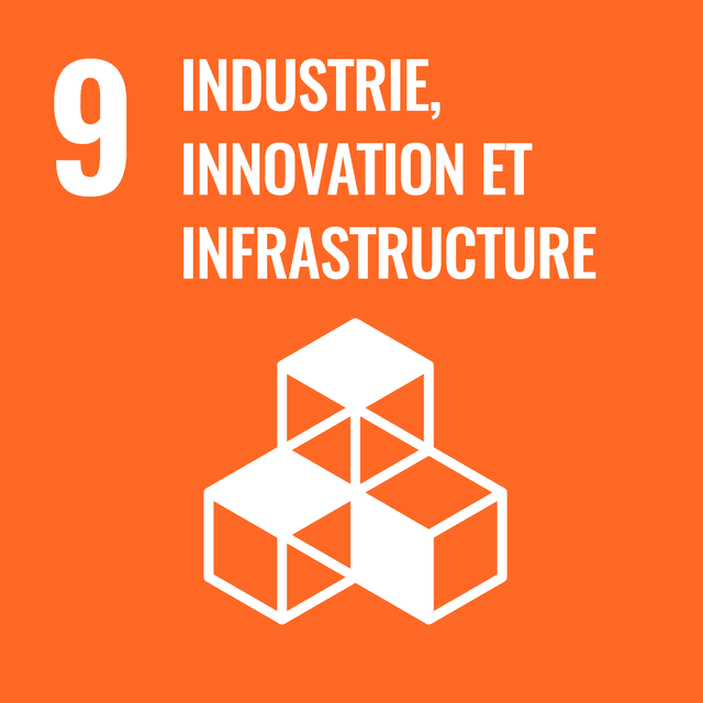 Rapport ODD 9 : Industrie, innovation et infrastructure 