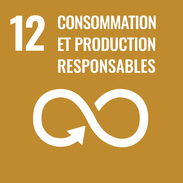 Rapport ODD 12 : Consommation et production responsables 