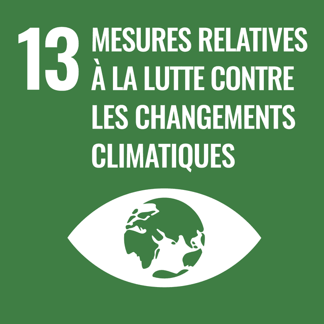 Rapport ODD 13 : Action climatique