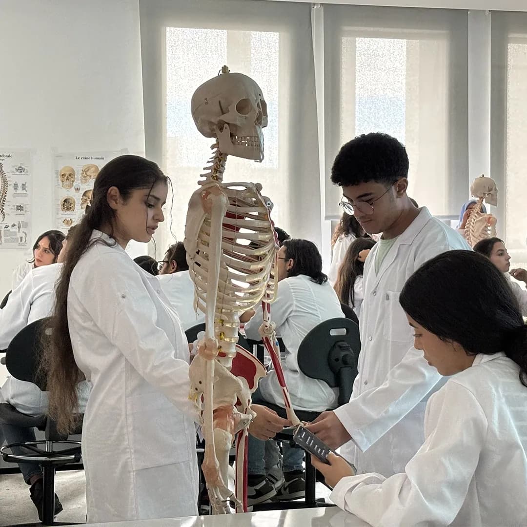 Faculté de Médecine